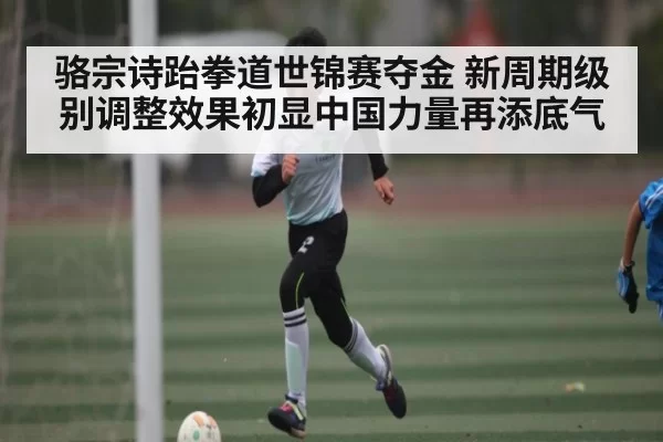 骆宗诗跆拳道世锦赛夺金 新周期级别调整效果初显中国力量再添底气
